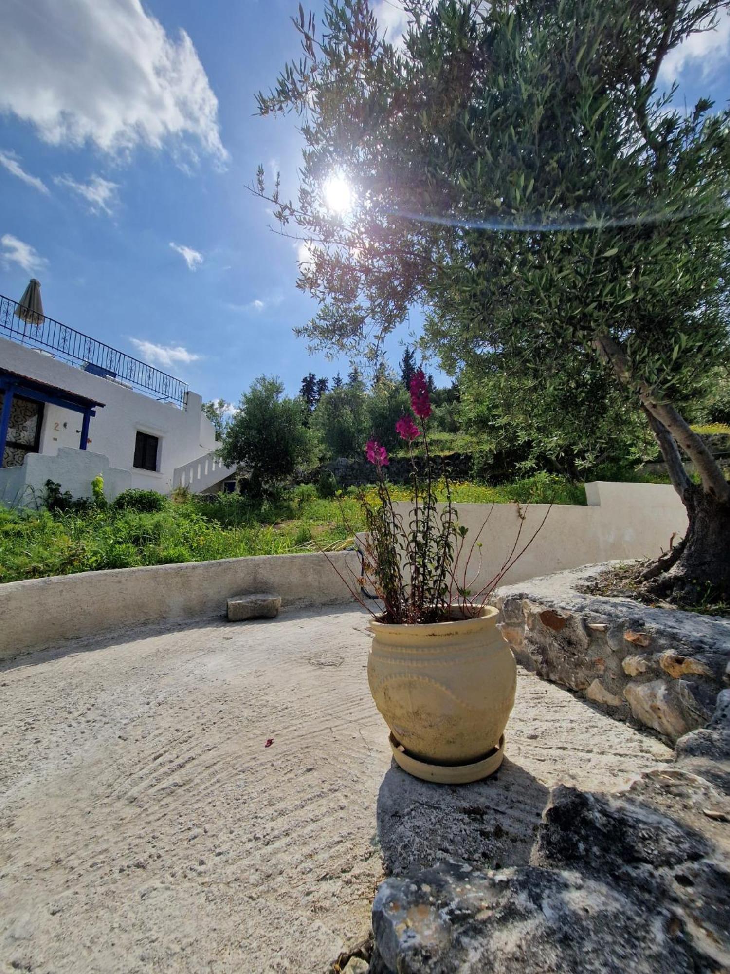 Apartmán Stefanos Garden Arménoi Exteriér fotografie