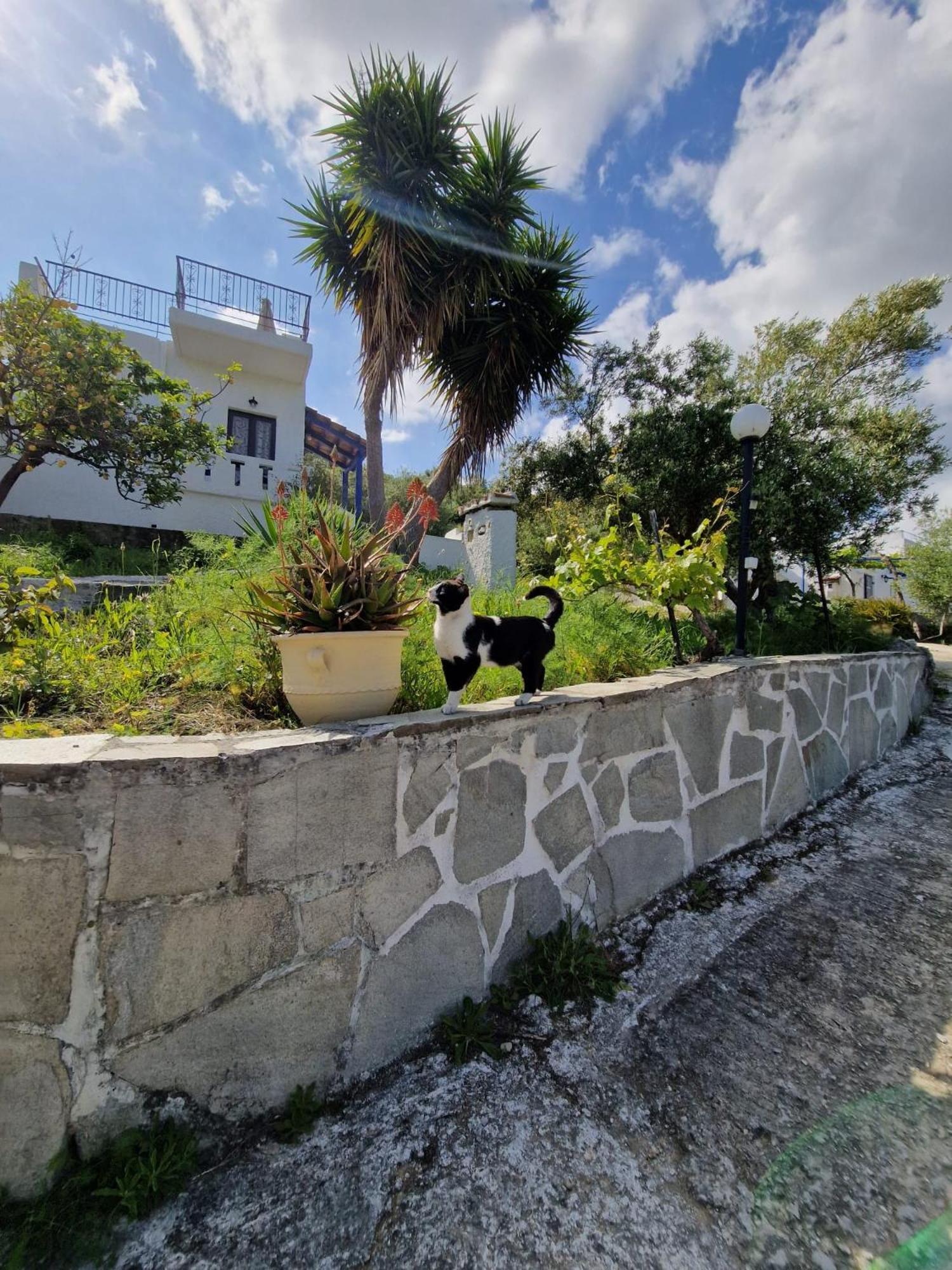Apartmán Stefanos Garden Arménoi Exteriér fotografie