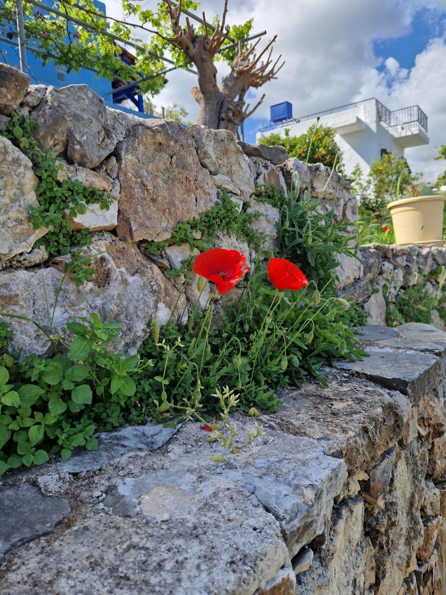 Apartmán Stefanos Garden Arménoi Exteriér fotografie